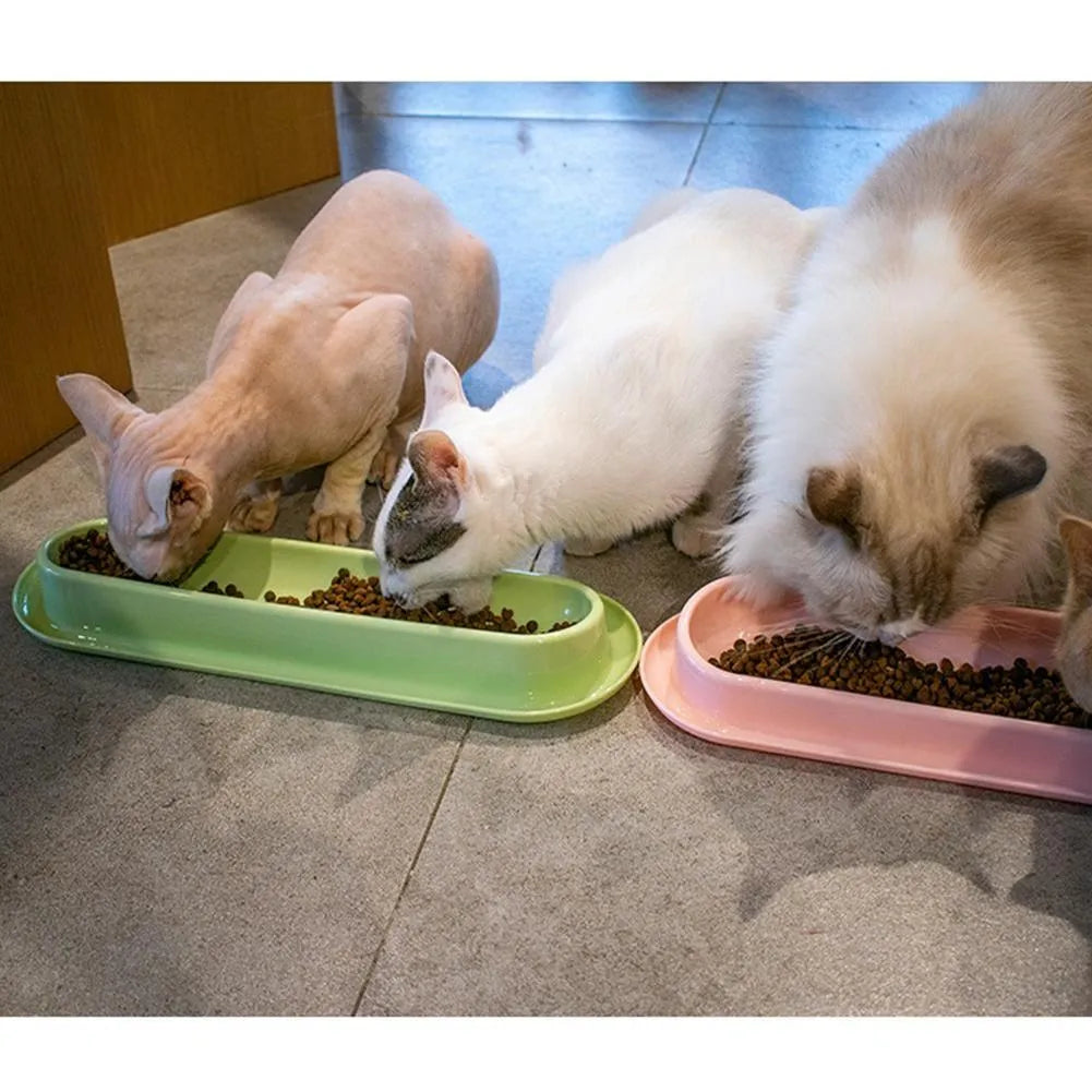 Green leakproof pet bowl with stainless steel interior and non-slip silicone base for dogs and cats.