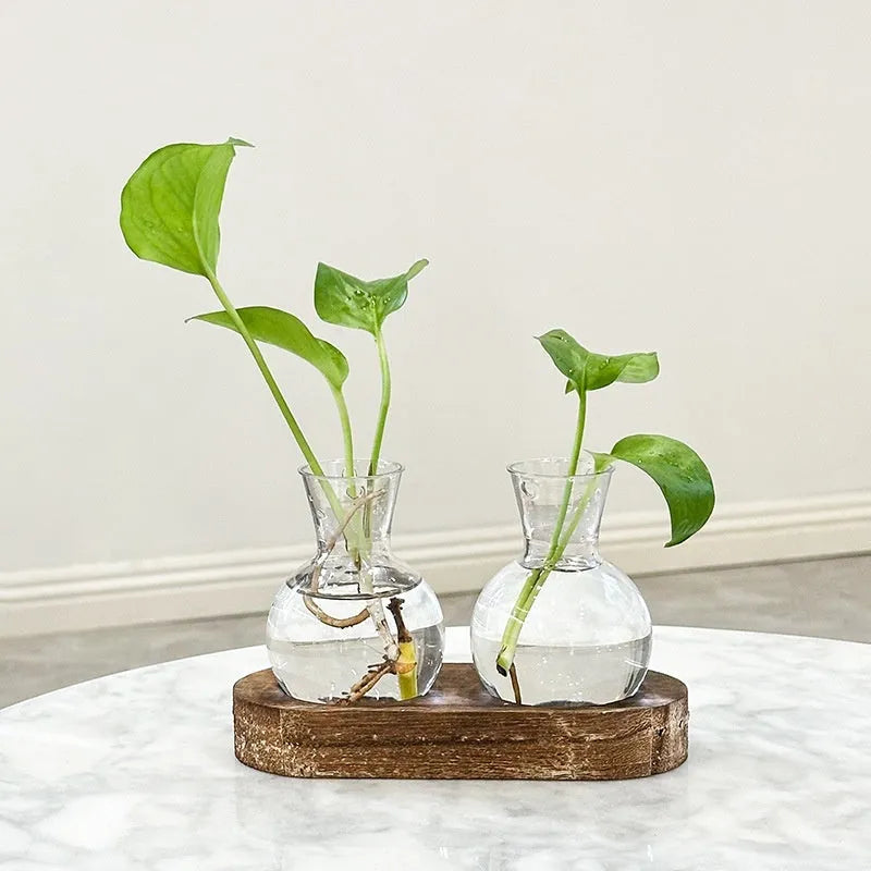 Wooden frame hydroponic vase with transparent glass containers in modern minimalist design