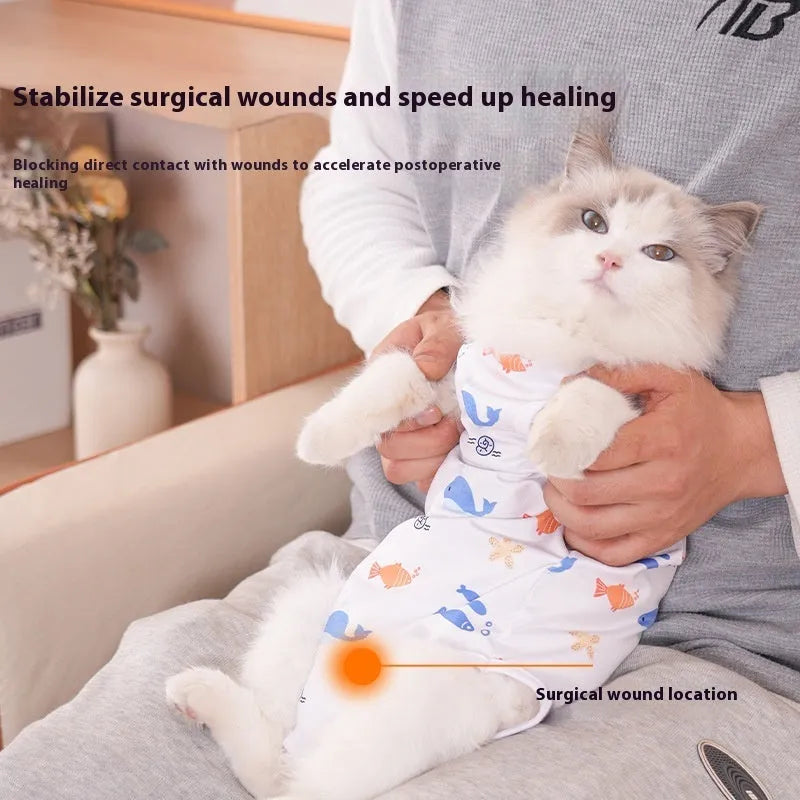 Cat wearing a printed polyester sterilisation recovery suit with velcro fastenings.