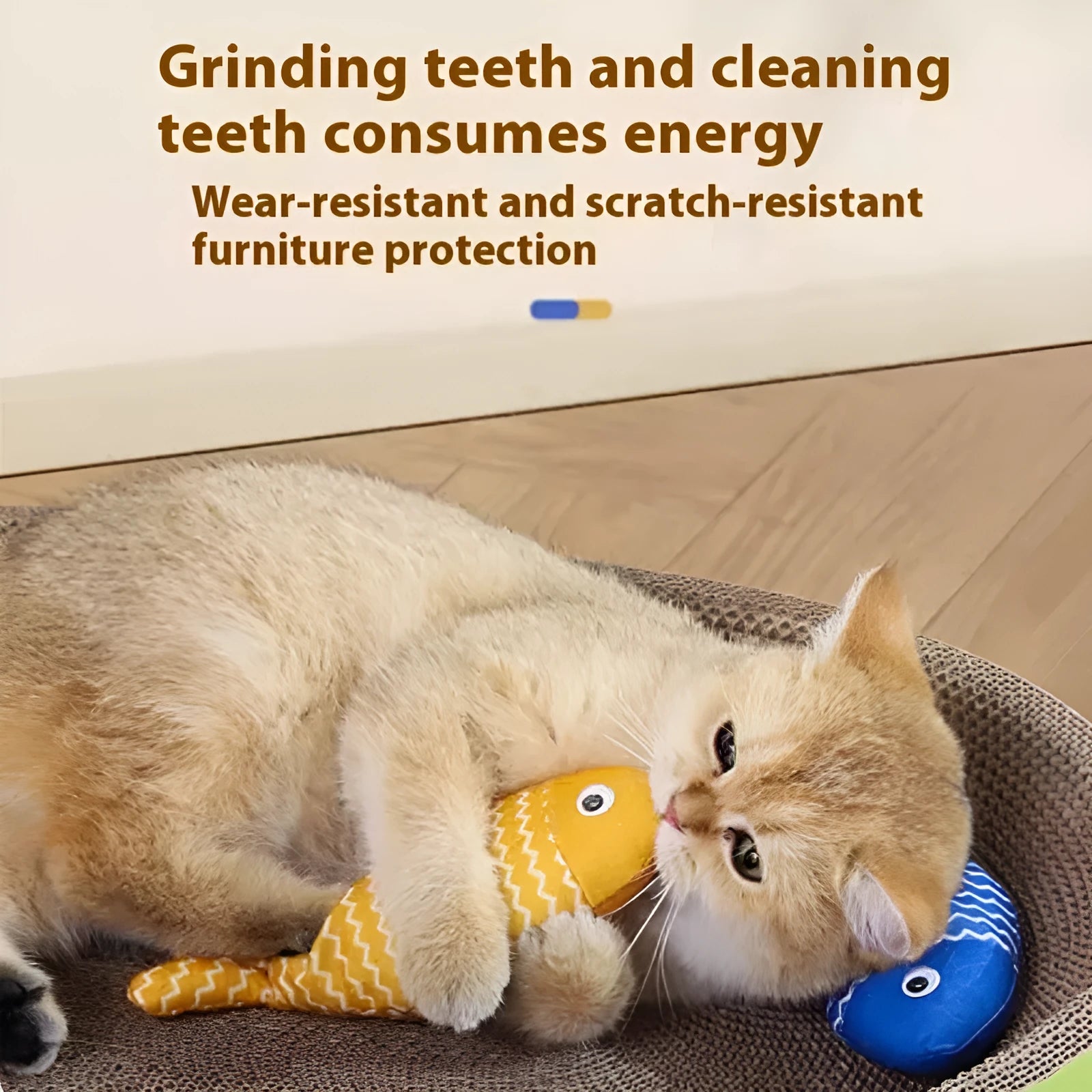 Blue, red, and yellow fish-shaped cat toys in large and medium sizes on a white background.