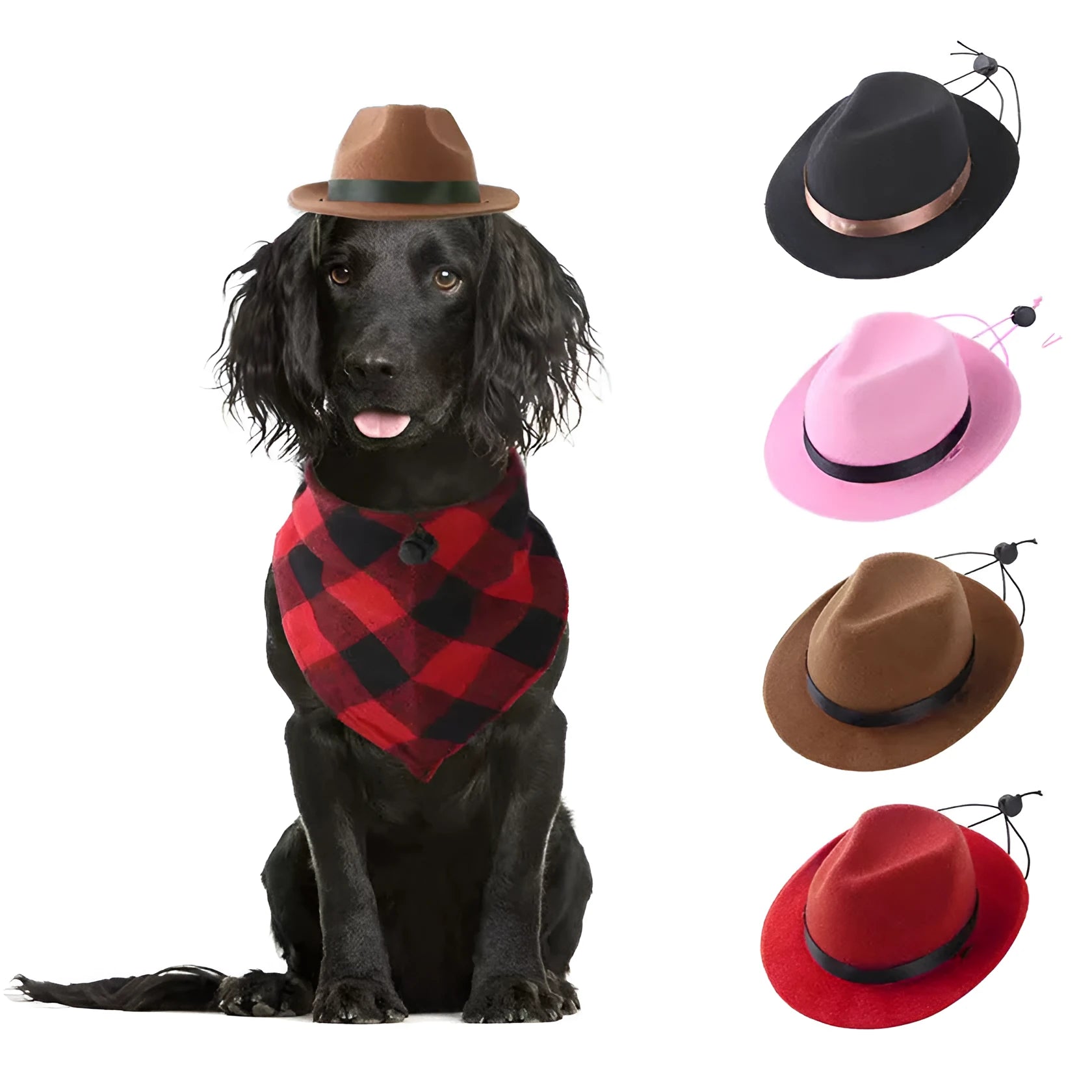 Mini wool felt pet hat for small dogs and cats in S size 155cm diameter