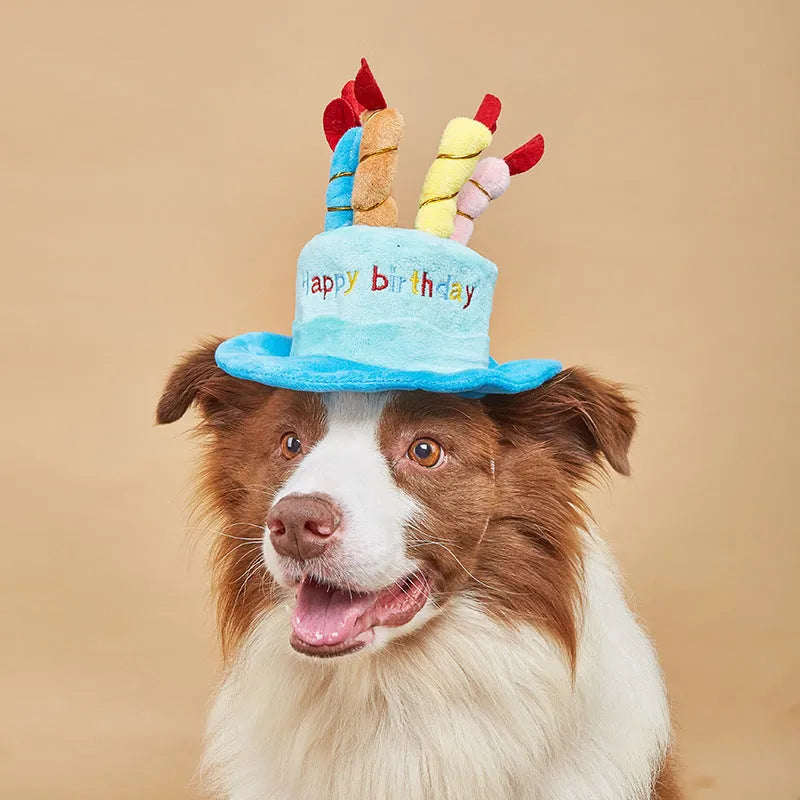 Blue dog birthday party hat for toy breeds measuring 21cm wide by 15cm deep
