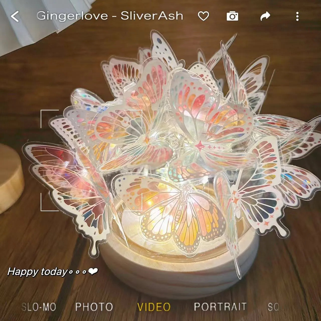 Butterfly night lamp with glass shade on raw wood base, showing 12x15cm size.