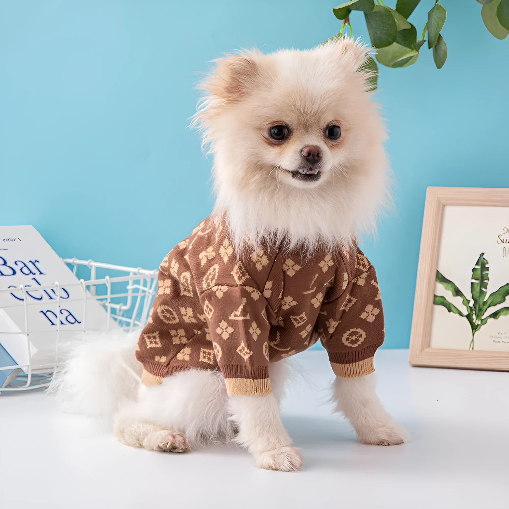 Thick wool dog sweater for autumn and winter in monochrome or two-tone colours