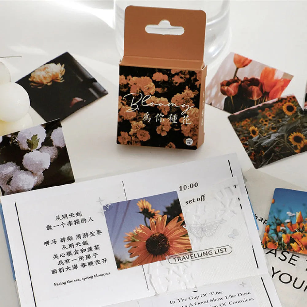 Nordic style decorative stickers with mountain, sea, and nature designs in six colour themes