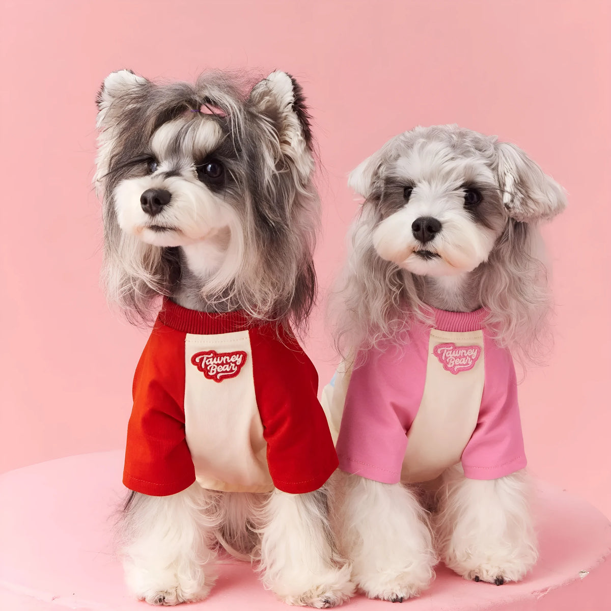 Cotton dog summer clothes in embroidered red or pink with contrast detailing