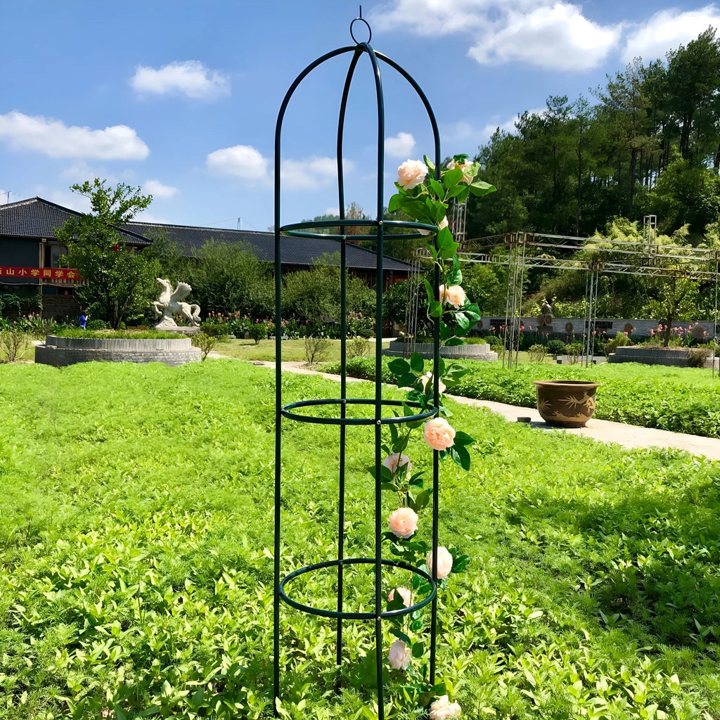 Dark green iron plant climbing frame with lattice design measuring 188cm tall
