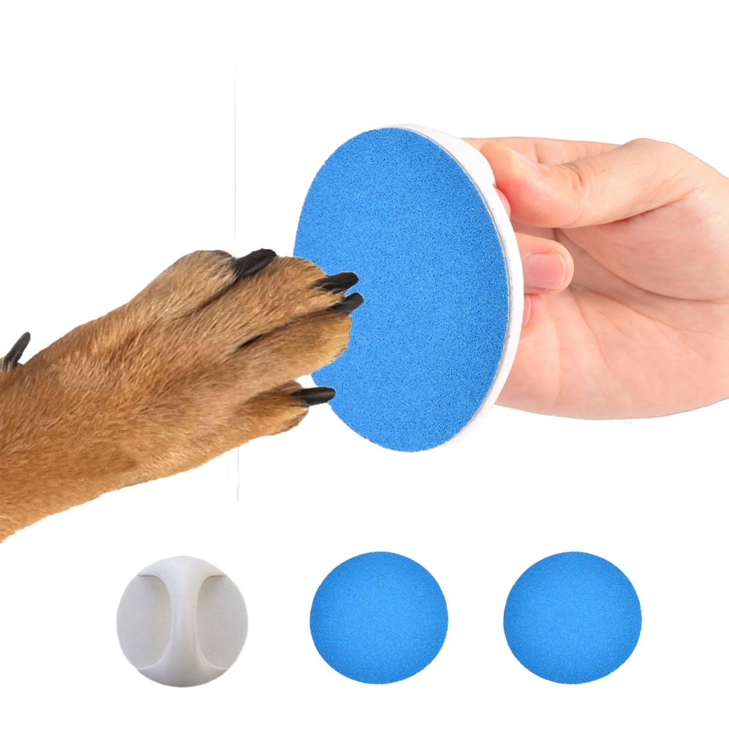 Square blue dog nail file scratch board with ergonomic handle on a white background.