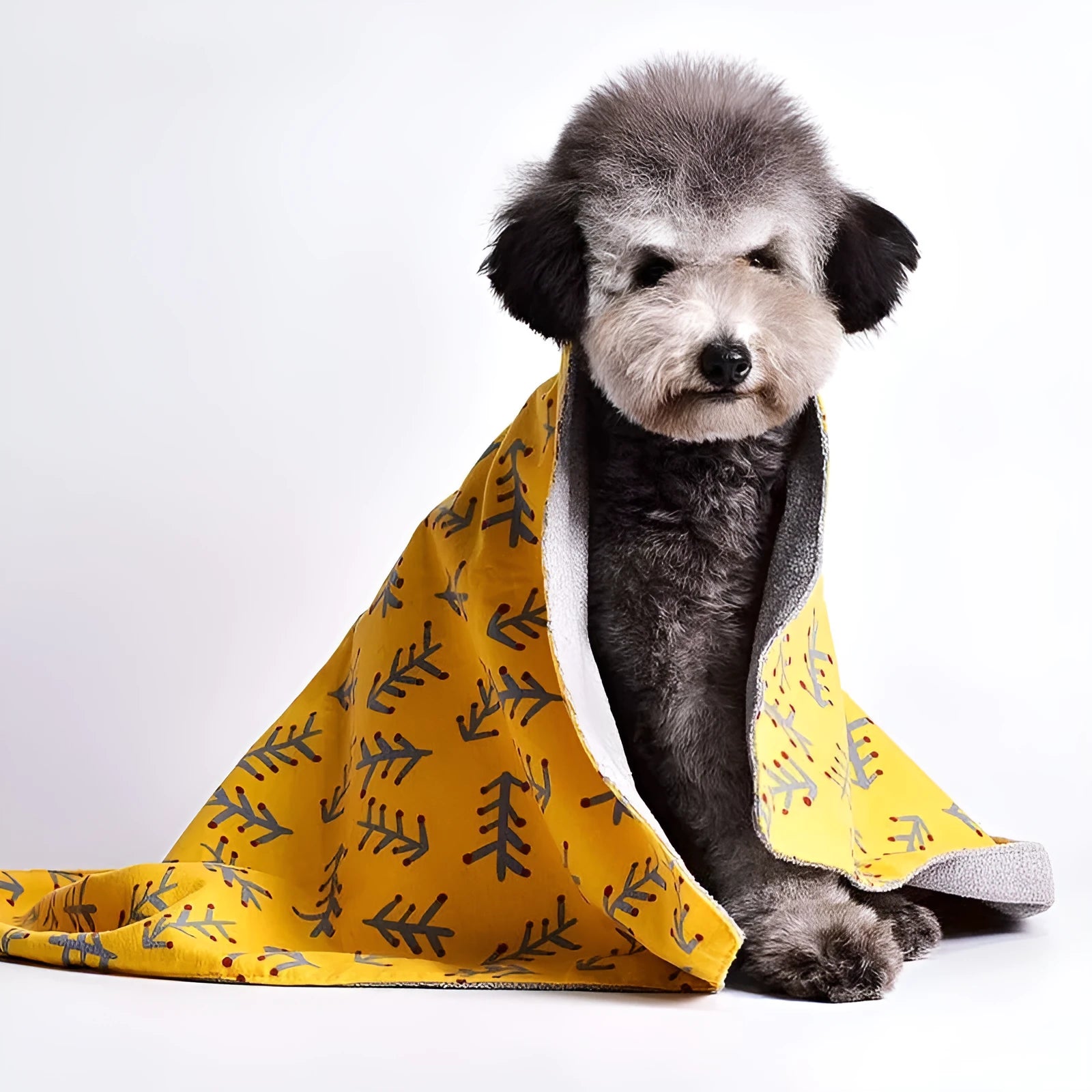 Double-sided cotton wool pet blanket with dinosaur and bear patterns in yellow, pink, grey, blue, and chestnut colours