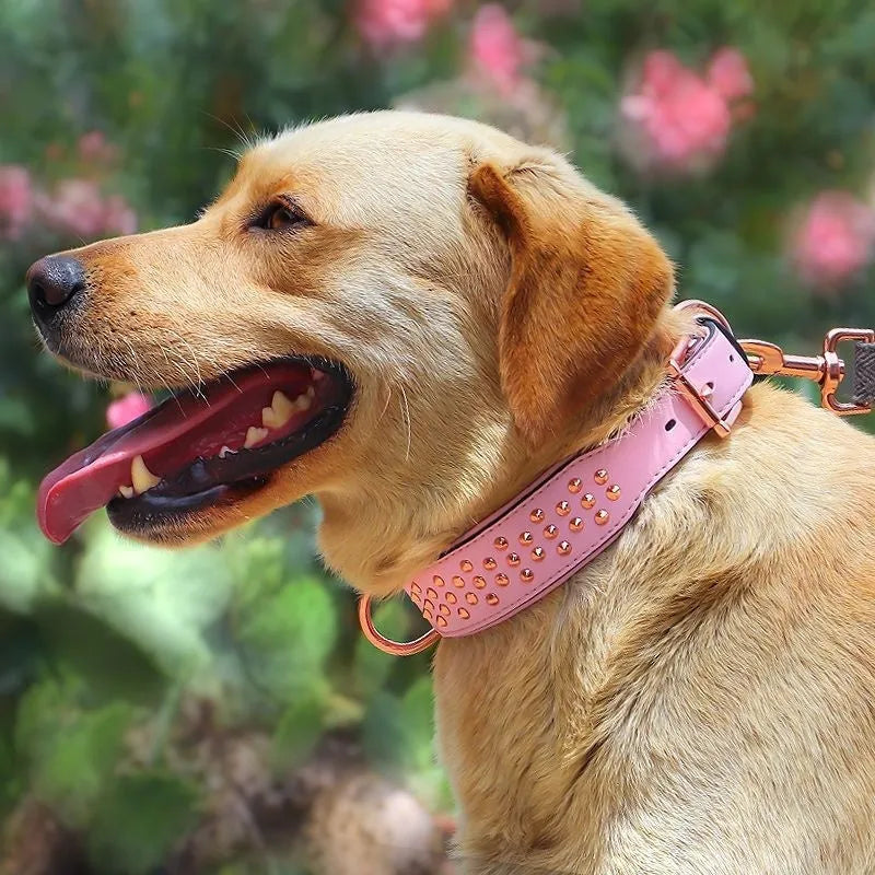 Leather dog collar with metal rivets and a stainless steel D-ring, shown in black, chocolate, and pink colour options.