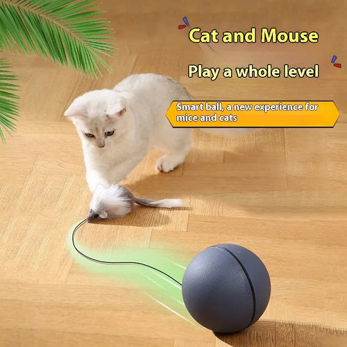 Automatic cat teasing ball toy with plush mouse attachment in blue orange and dark grey colour options