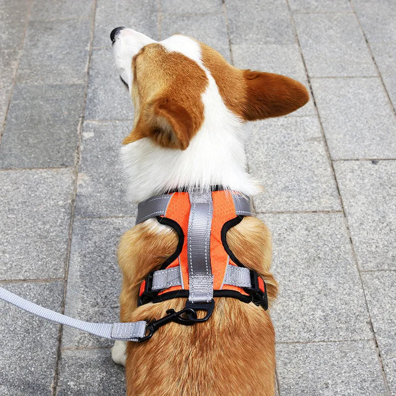 Adjustable polyester dog chest harness in multiple colours with optional hand-holding rope attached.