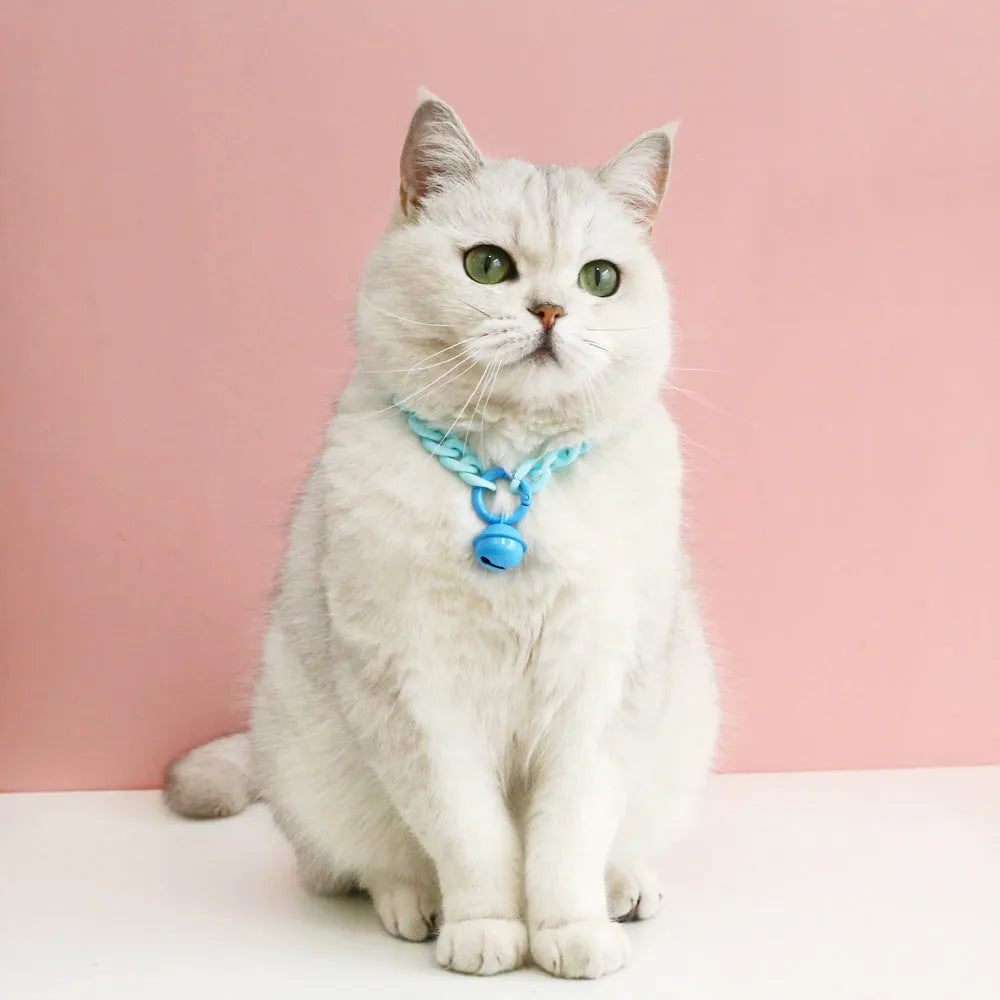 Adjustable plastic pet collar in macaron candy colours showing chain blue, pink and mixed options