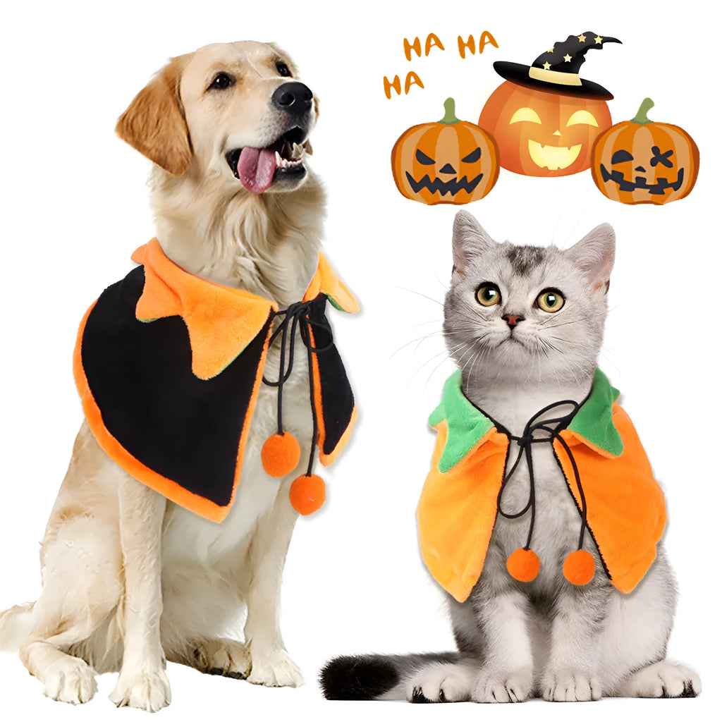 Orange pumpkin Halloween cloak for a dog, made from soft plush fabric.