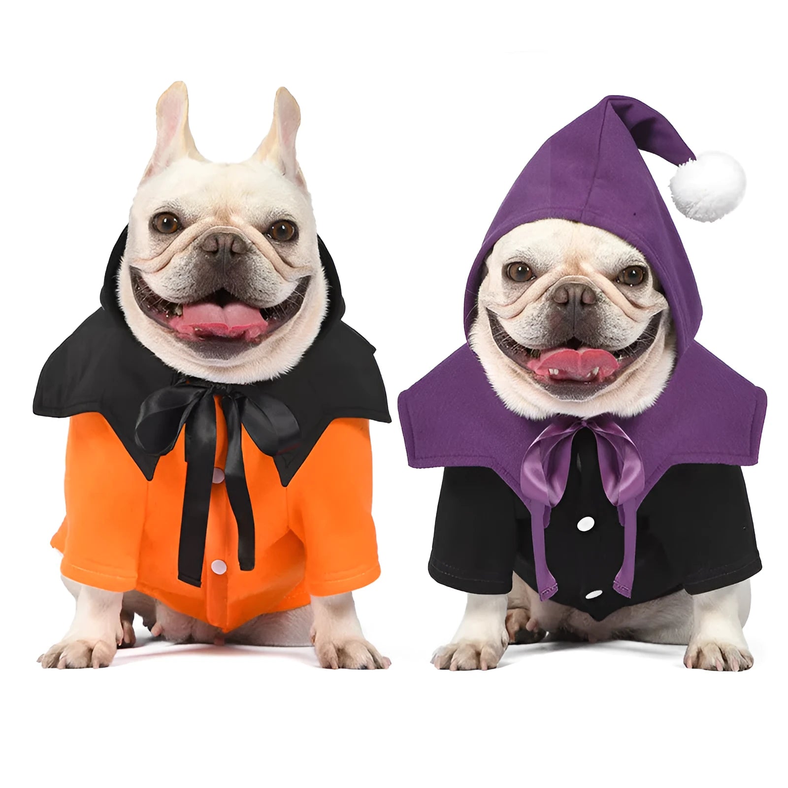 Black and orange Halloween dog costume with pumpkin design showing sweater and shawl two-piece construction