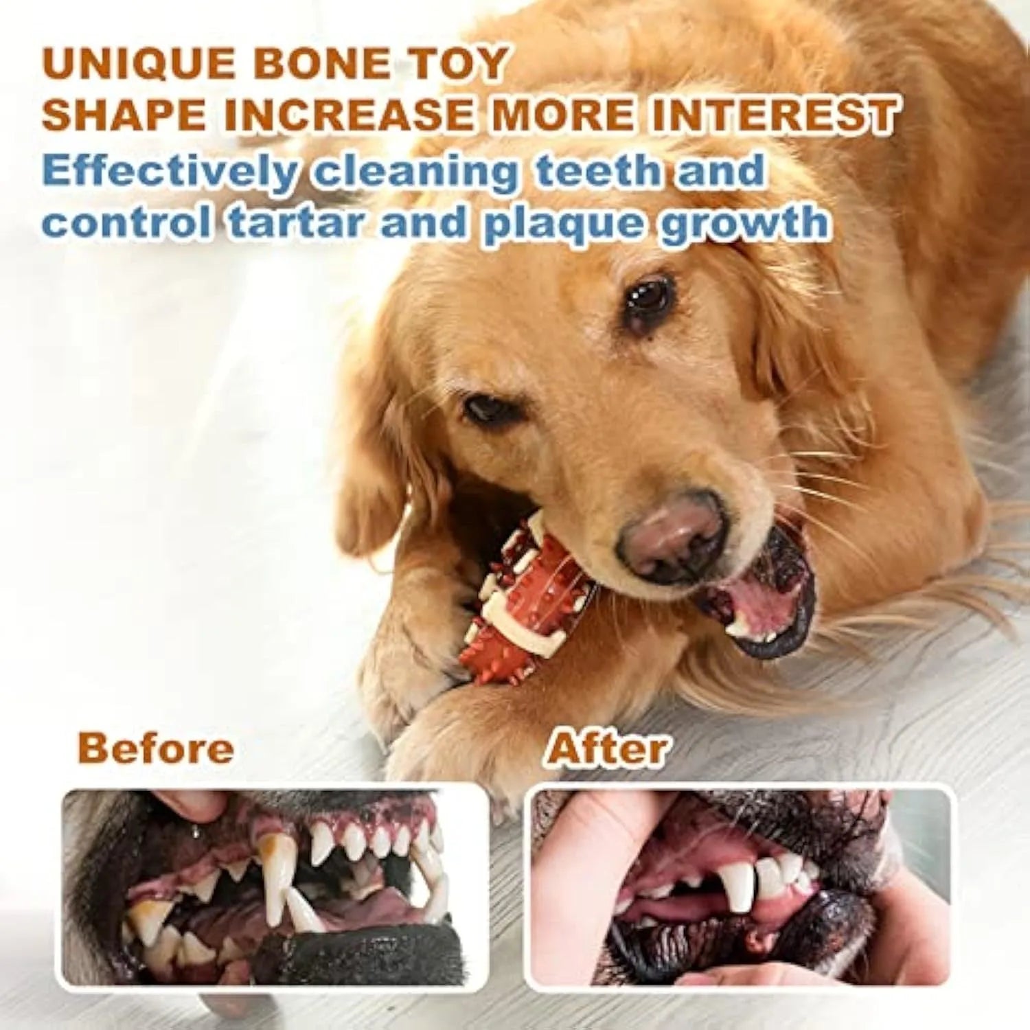 Bone-shaped natural rubber dog dental chew toy for teeth cleaning in large and small sizes.