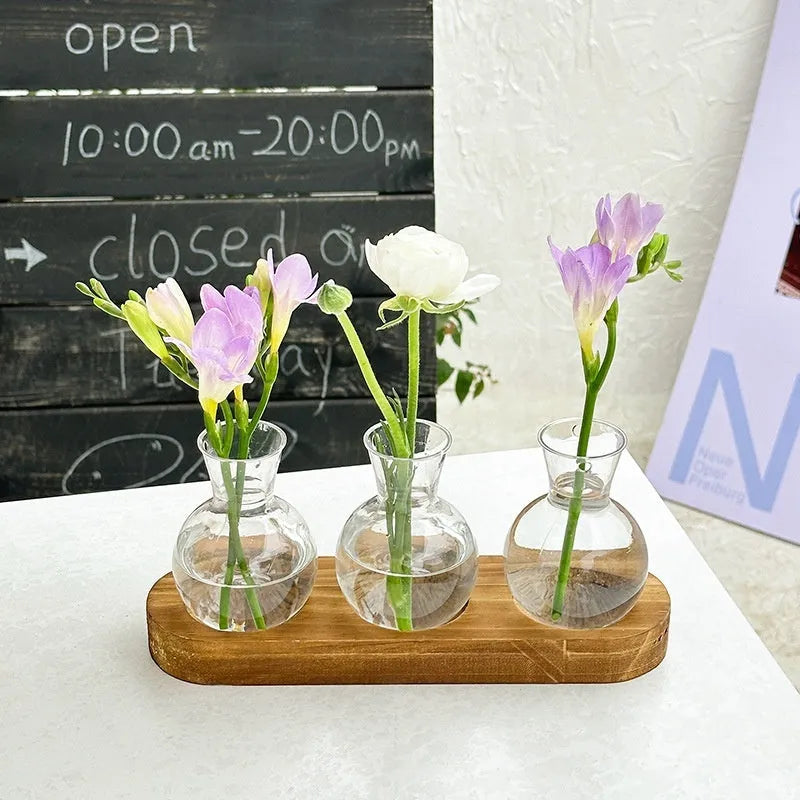 Wooden frame hydroponic vase with transparent glass containers in modern minimalist design