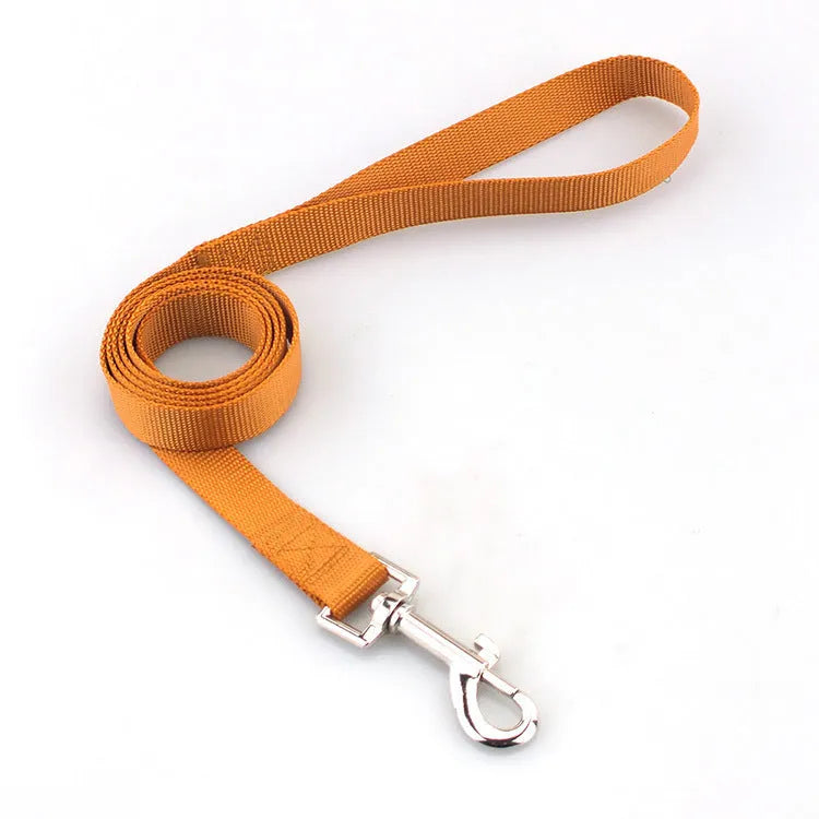 Solid colour nylon dog lead rope in blue, shown with a 120cm length and a hand holding it.