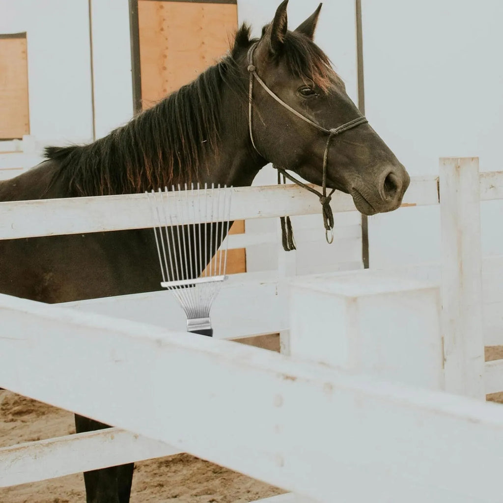 Stainless steel dematting brush rake comb for pet and livestock grooming.