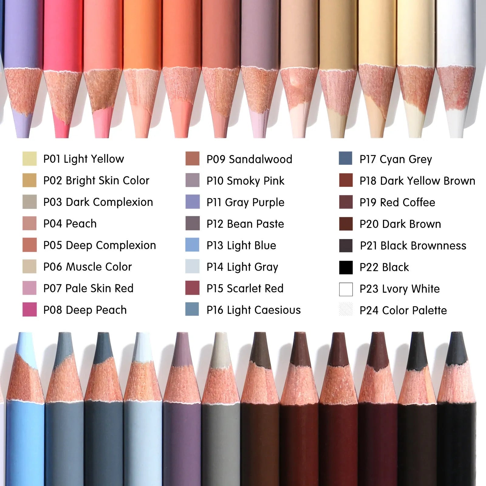 24 skin tone pencils in round iron storage pot for portrait artists and illustrators