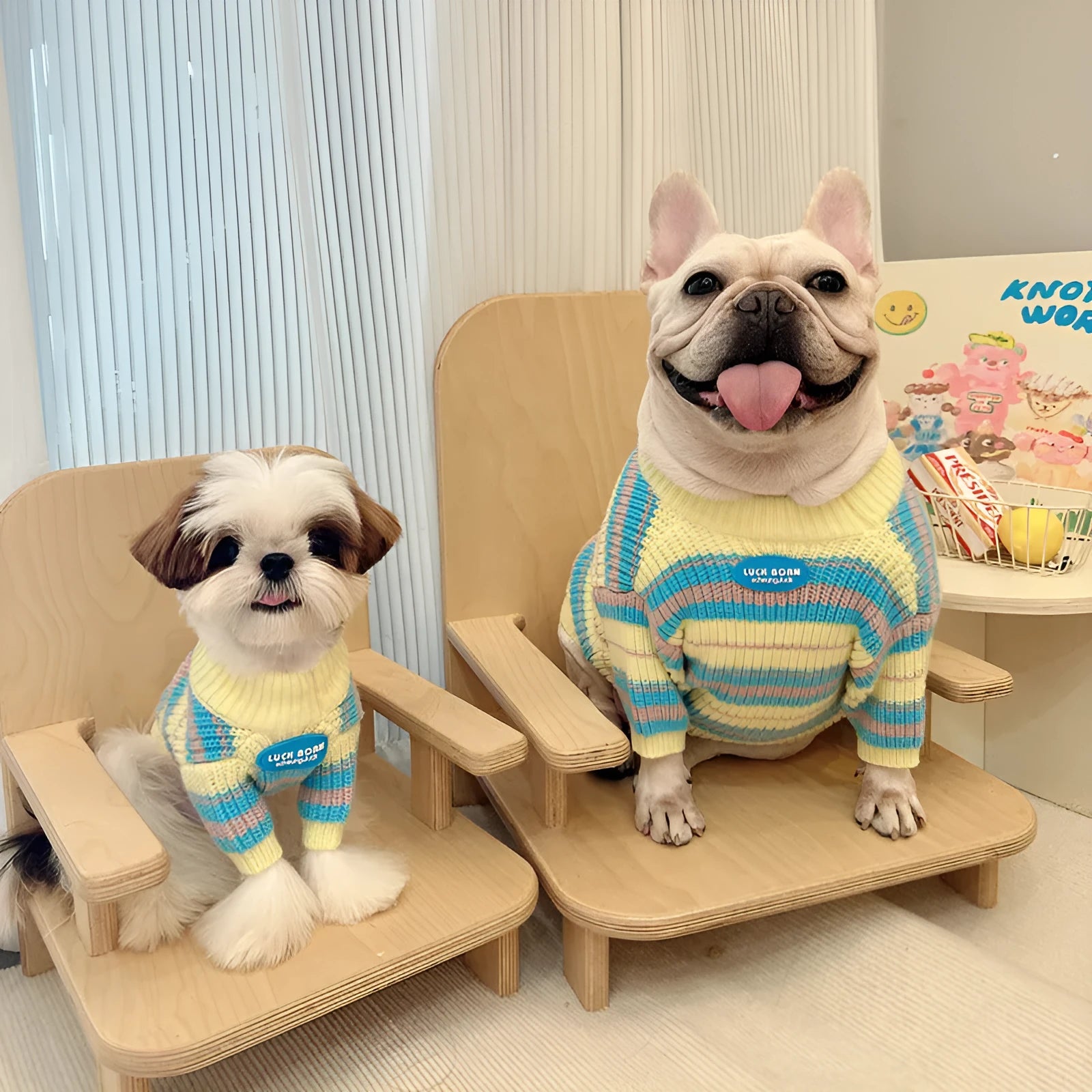 Blue and yellow striped wool sweater for small dog breeds on a white background
