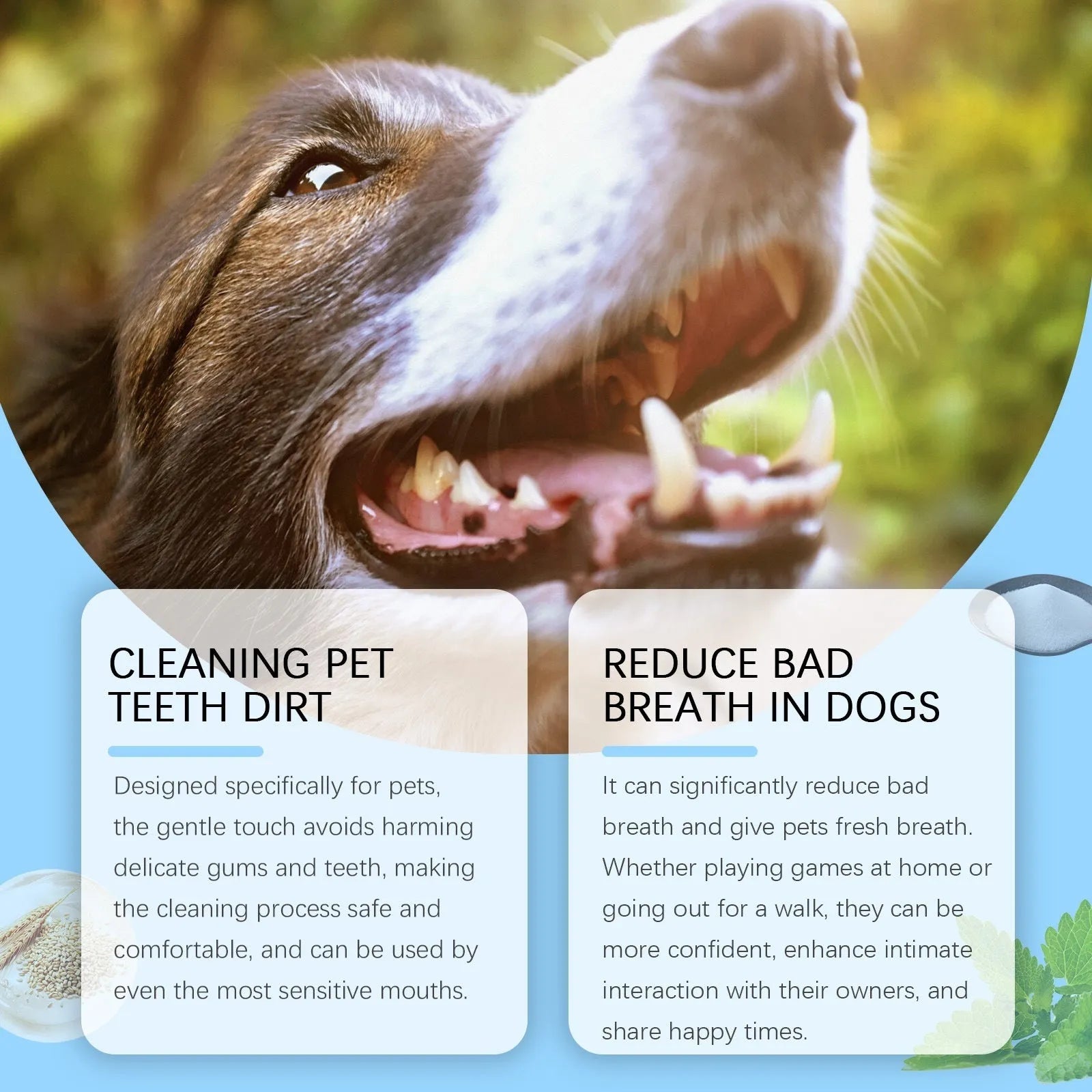 Soft-bristled pet toothbrush pen for cleaning cat and dog teeth.