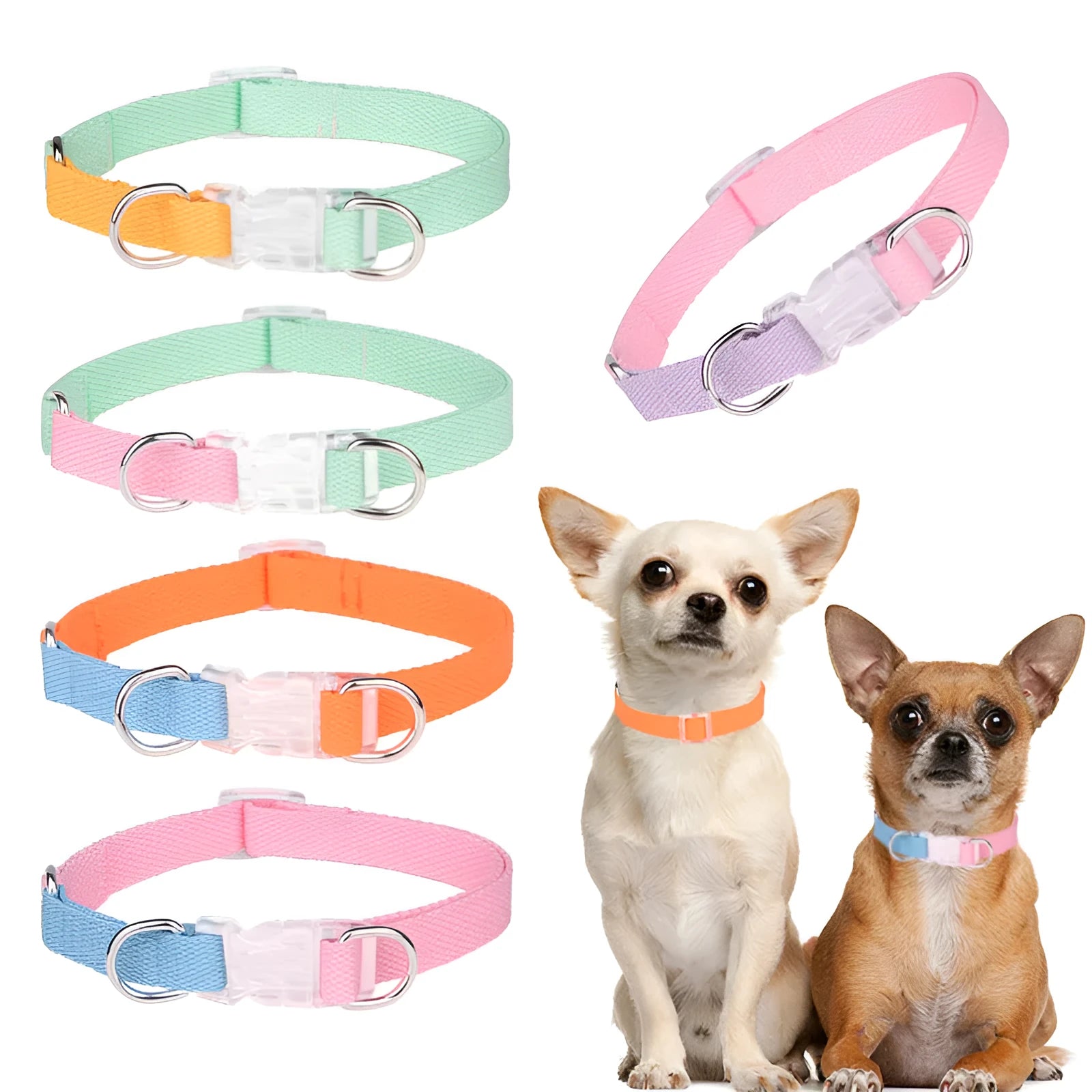 Polyester ribbed dog collar with matching lead and chest strap in green and pink colour combination