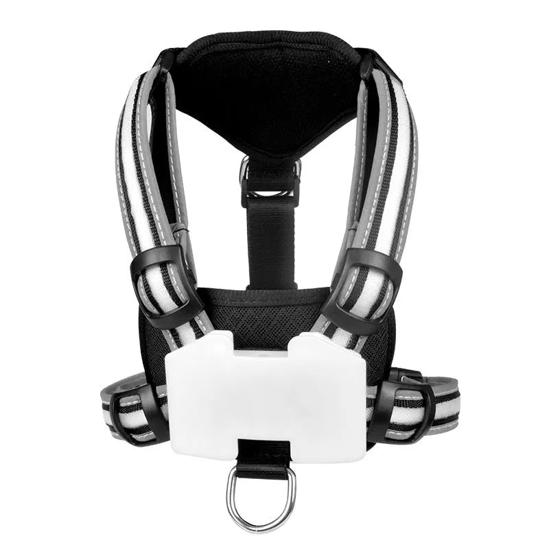 USB rechargeable luminous dog lead with seven colour-changing modes and nylon construction