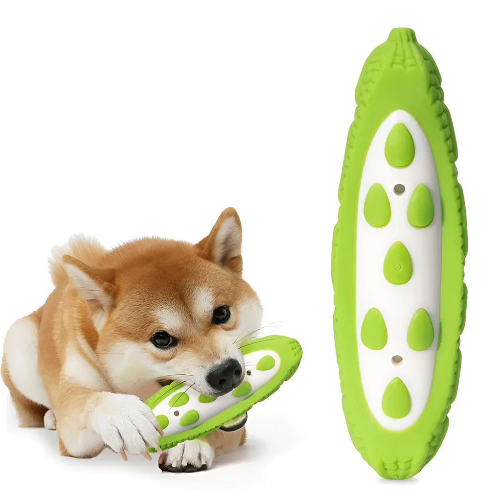 Purple and green durable rubber dog chew toys in large and small sizes for aggressive chewers