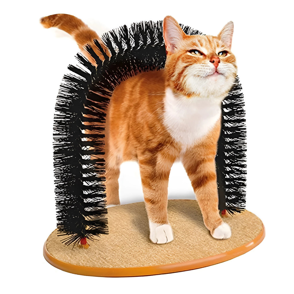 Curved plastic cat arch scratcher with built-in grooming brush bristles for cats to rub against.