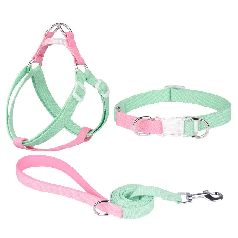 Polyester ribbed dog collar with matching lead and chest strap in green and pink colour combination