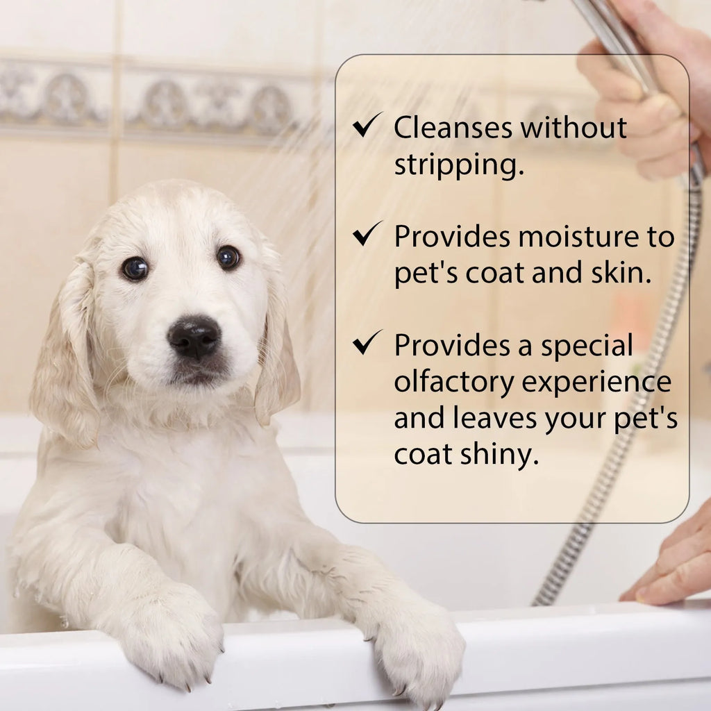Bottle of mild dog shampoo for soft fur, showing 100ml and 300ml size options