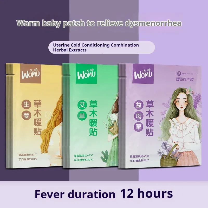 Self-heating herbal uterine warming plaster showing four variant options: argy wormwood, ginger, motherwort, and sea salt warm stickers