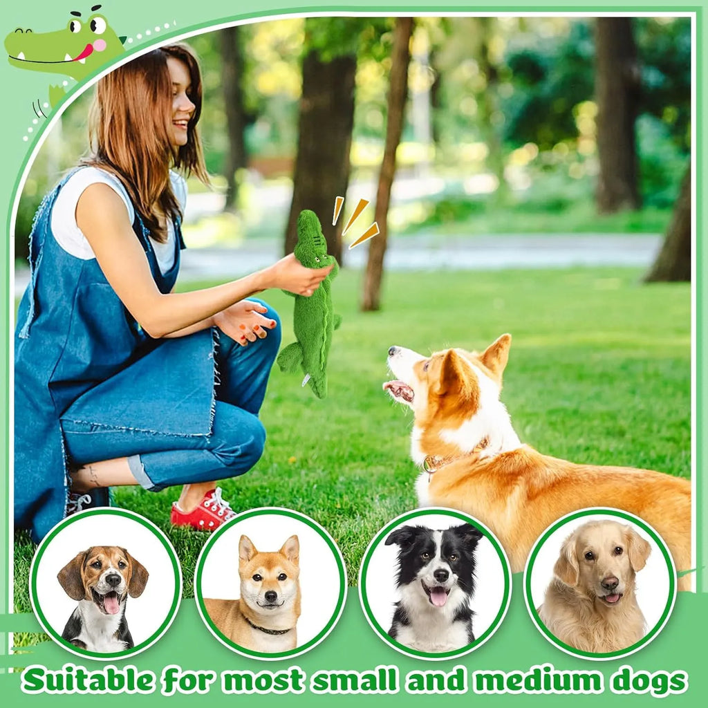 Green crocodile dog toy with no stuffing, squeaker in head and crinkle paper in tail