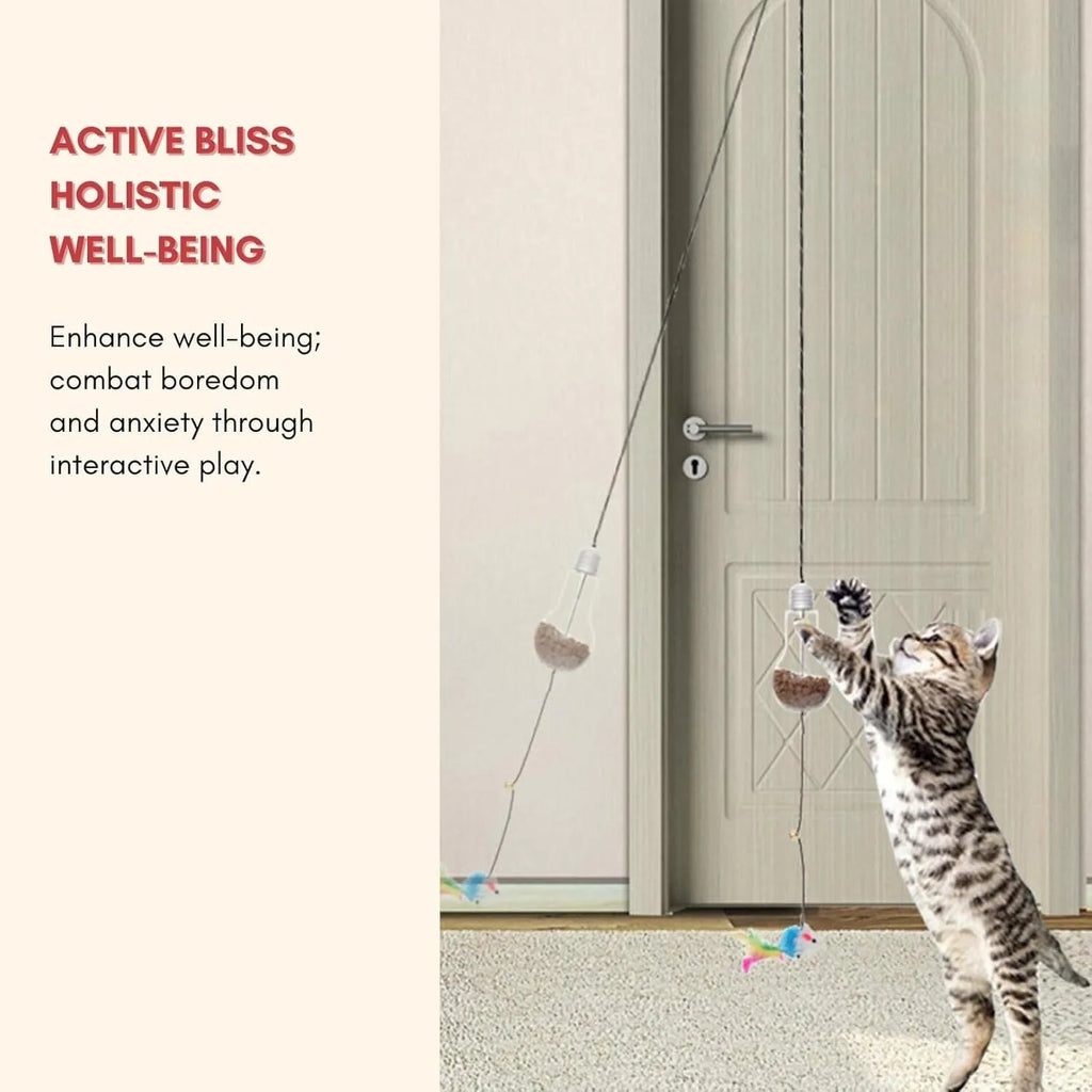 Interactive cat toy hanging on door frame with treat bulb and dangling mouse toy on elastic rope