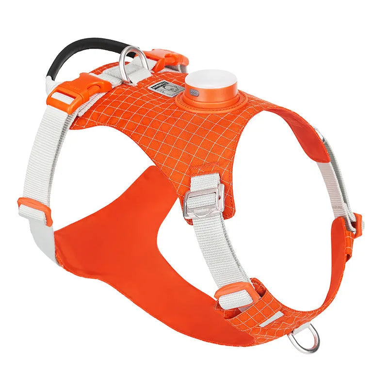 Nylon dog harness with LED light on chest strap, shown in light purple colour.