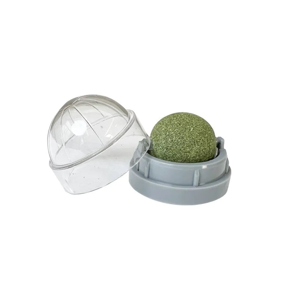 Plastic catnip ball dental toy with cleaning ridges in multiple colour options