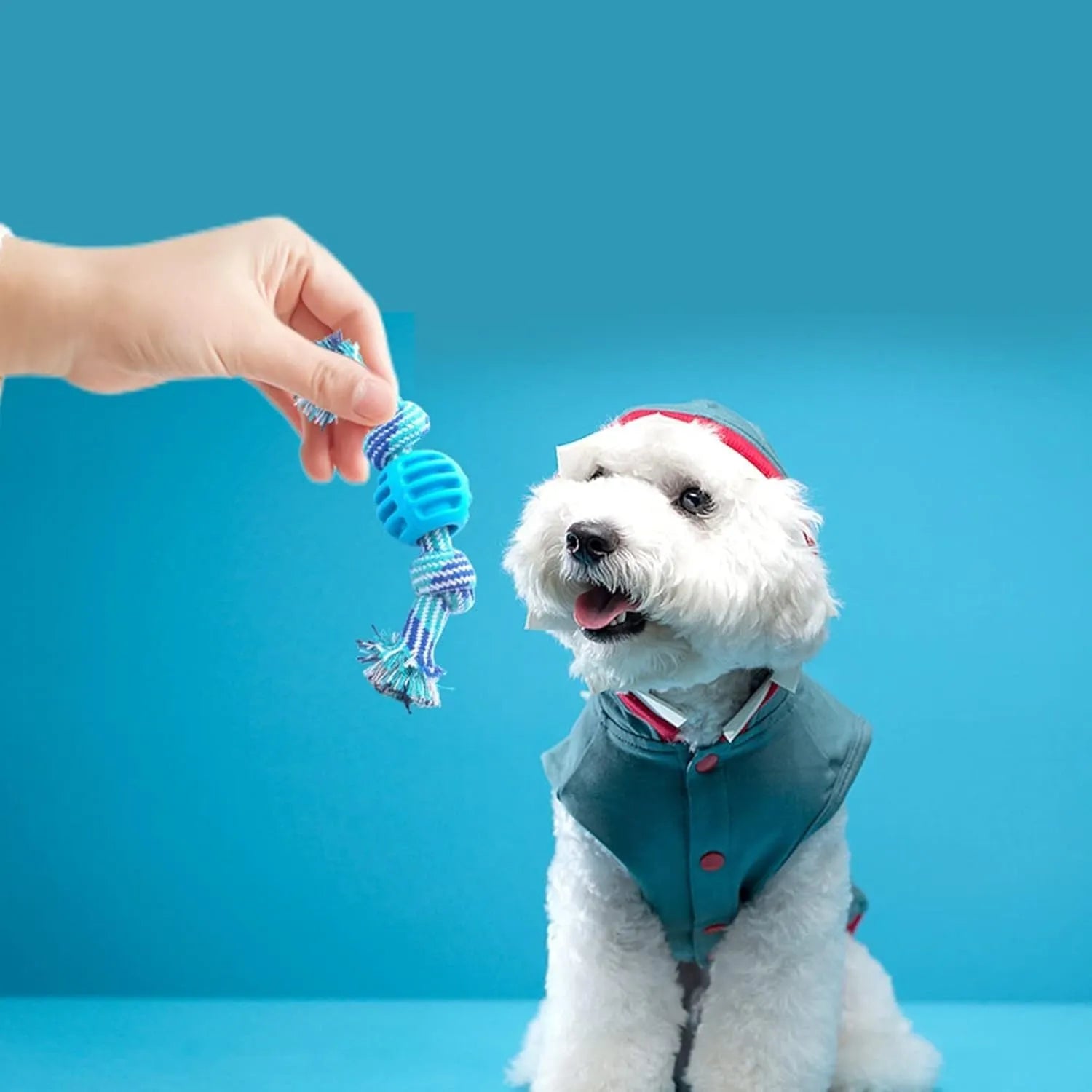 Blue dog chew toy with rope centrepiece for dental cleaning, approximately 9.5 cm diameter