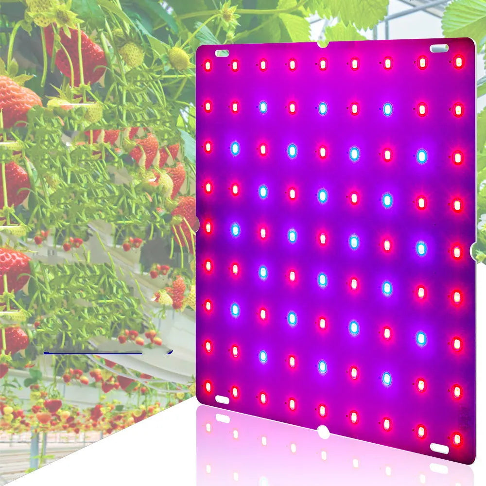 D-section aluminium LED plant growth lamp for indoor fruit and vegetable cultivation.