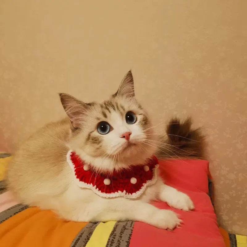Knitted milk cotton pet collar with cartoon pattern in various colours and sizes for small animals.