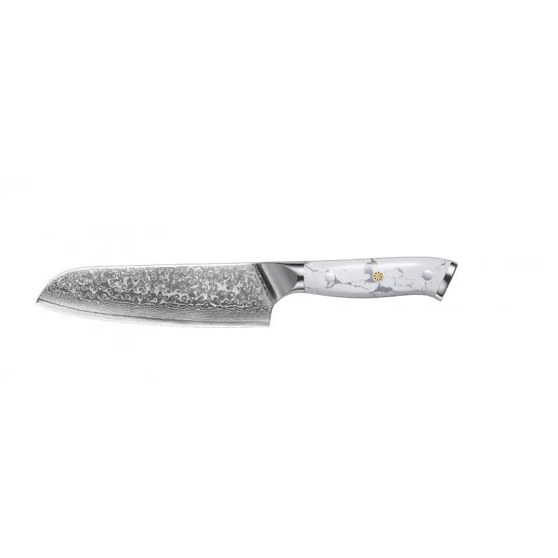 Damascus VG10 combined chef's knife with 21cm blade showing modern simple design