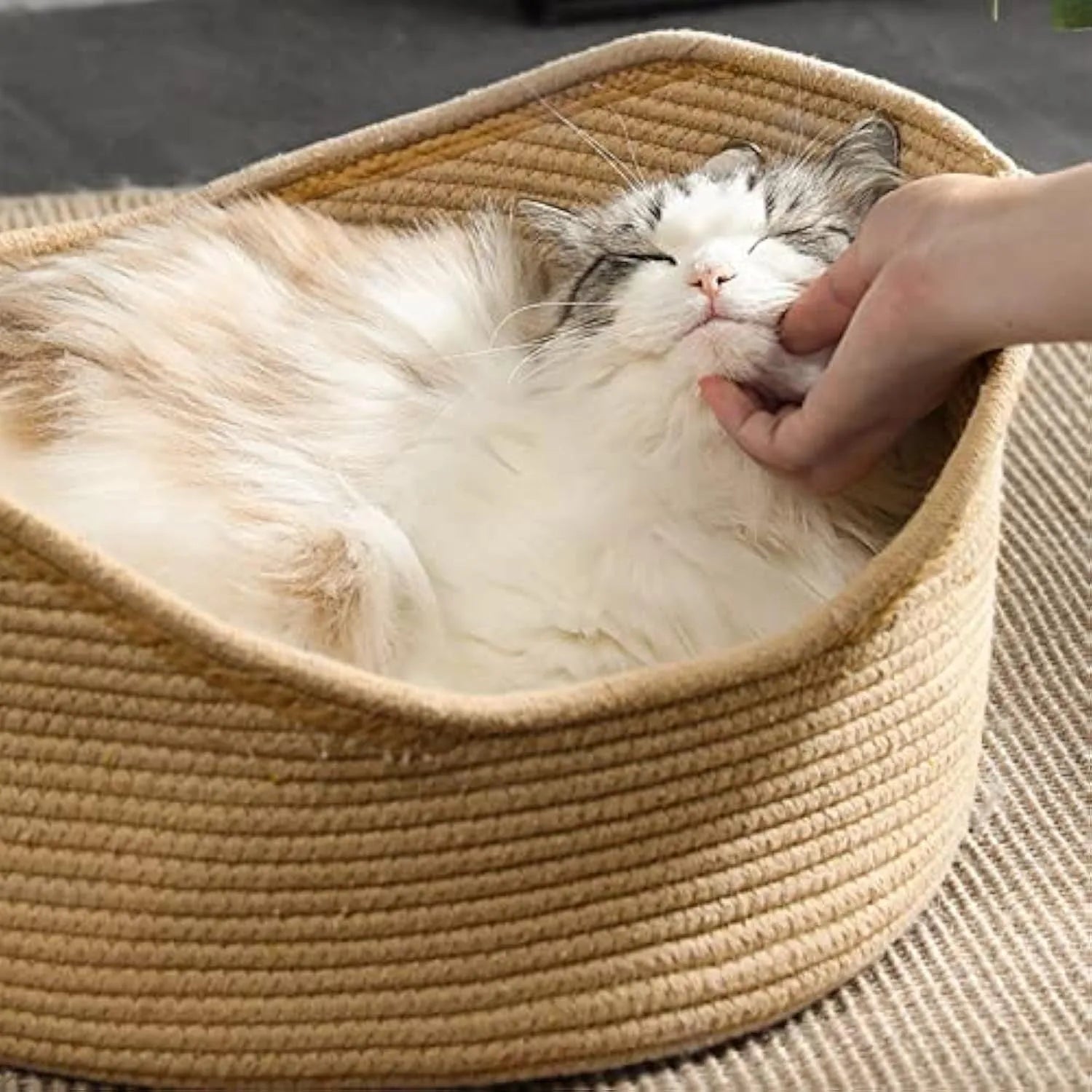 Woven wicker cat bed basket with corrugated scratching board interior for feline resting and claw maintenance