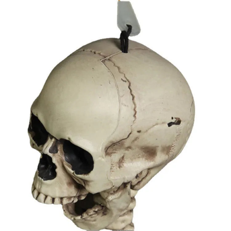 170cm tall plastic skeleton prop with detailed skull design for Halloween and event displays