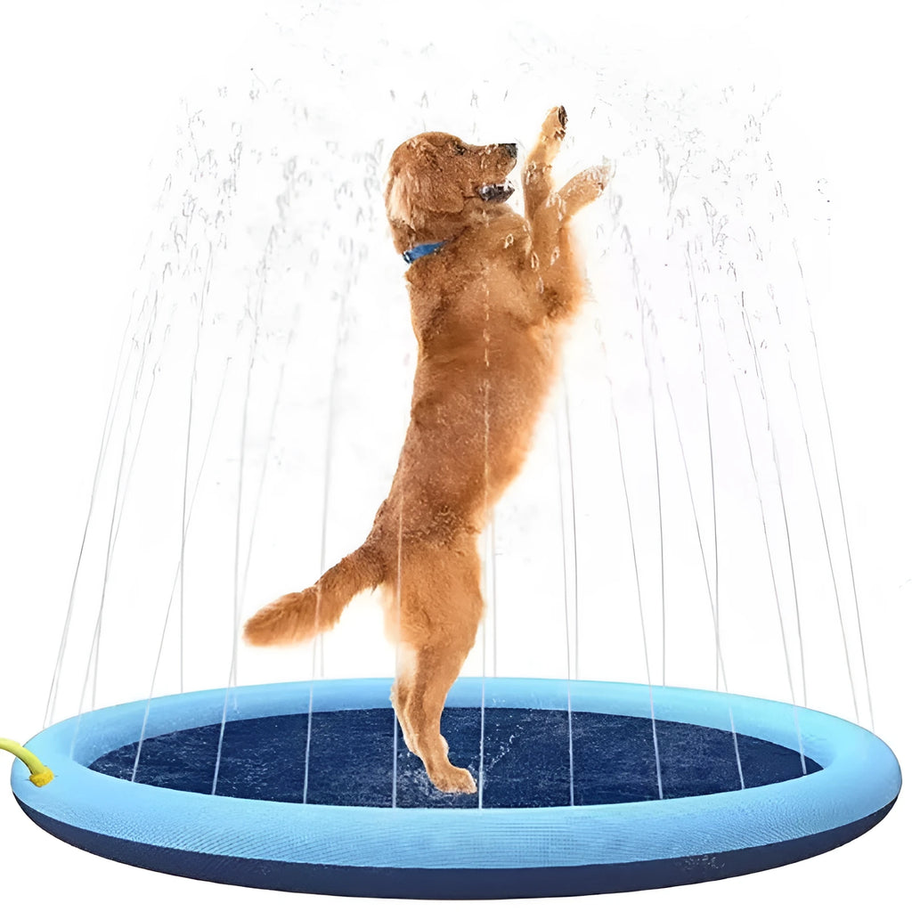 A large, round blue dog splash pad with a textured surface, filled with shallow water, sitting on a green lawn.