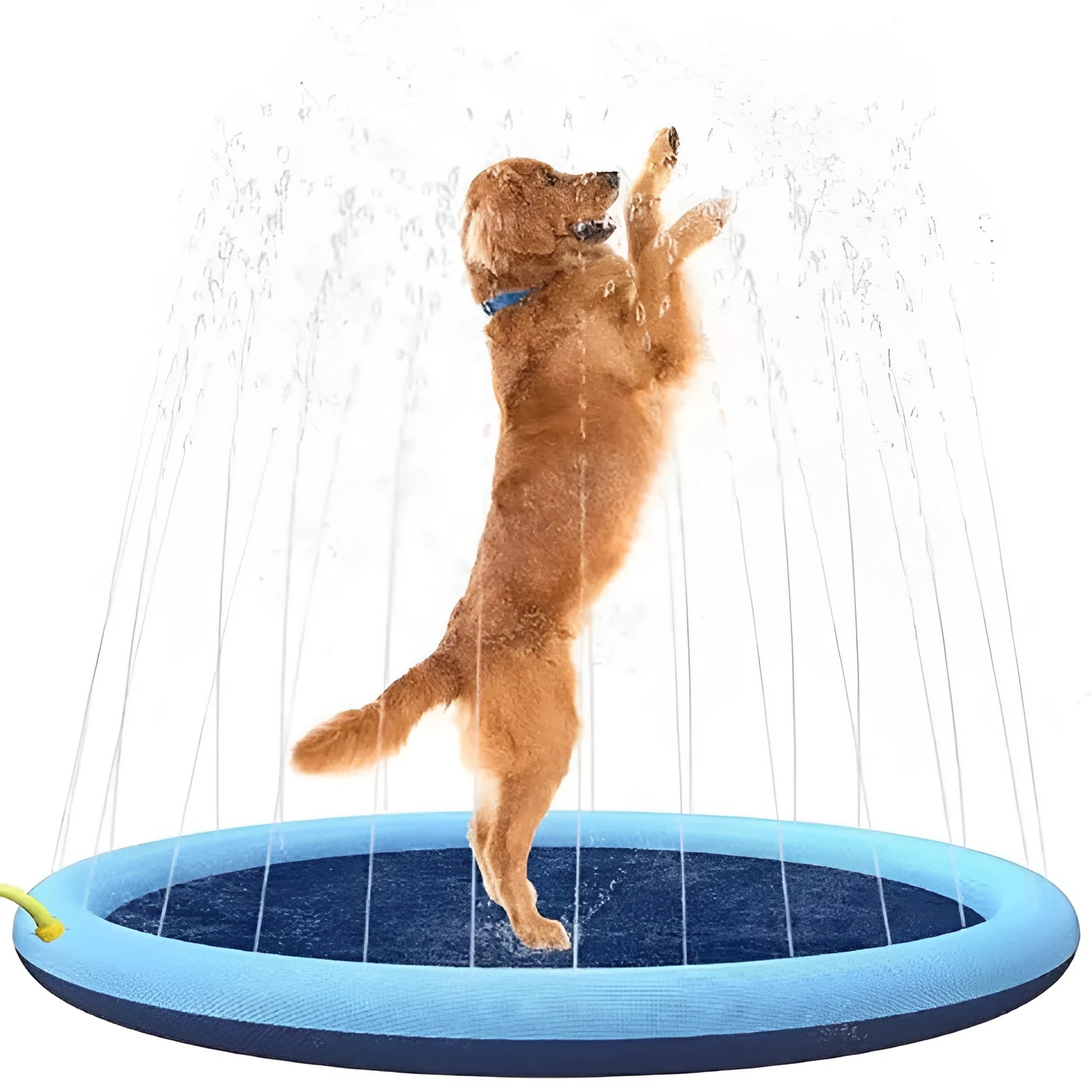 A large, round blue dog splash pad with a textured surface, filled with shallow water, sitting on a green lawn.