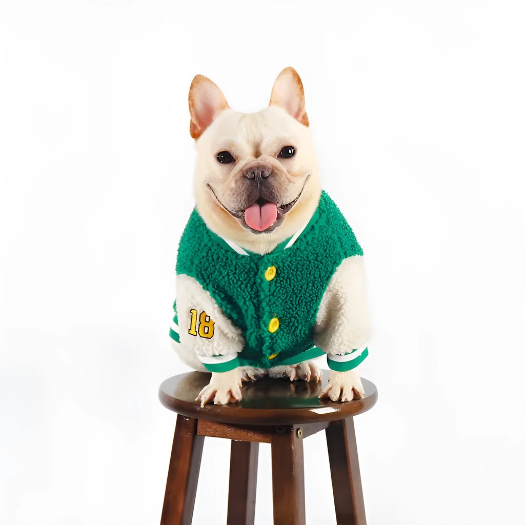 Green fleece-lined cotton winter coat for large dogs on a white background