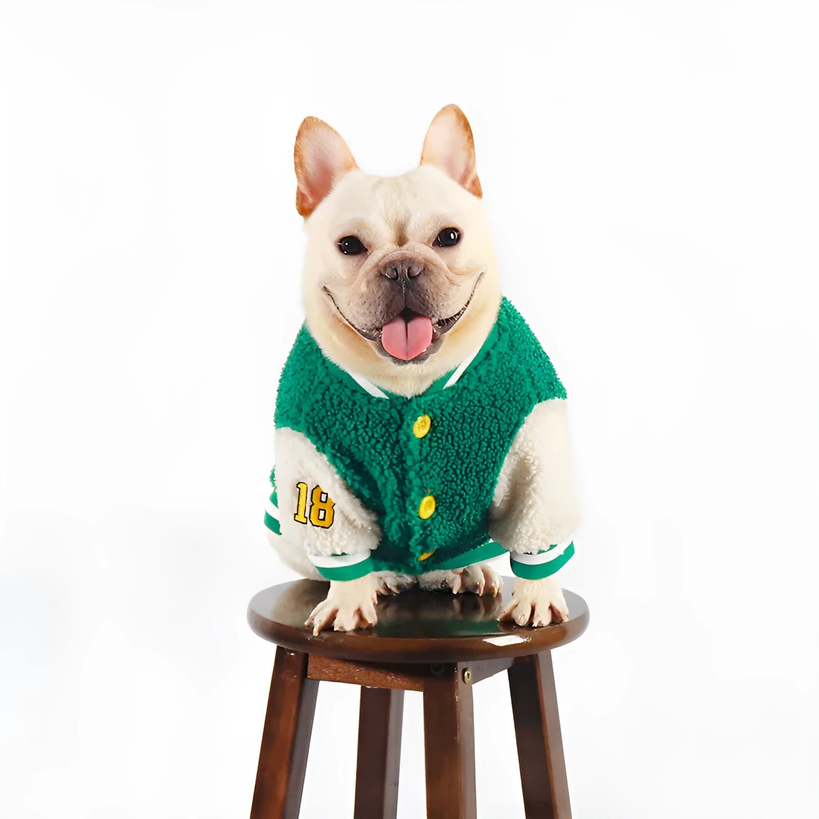 Green fleece-lined cotton winter coat for large dogs on a white background