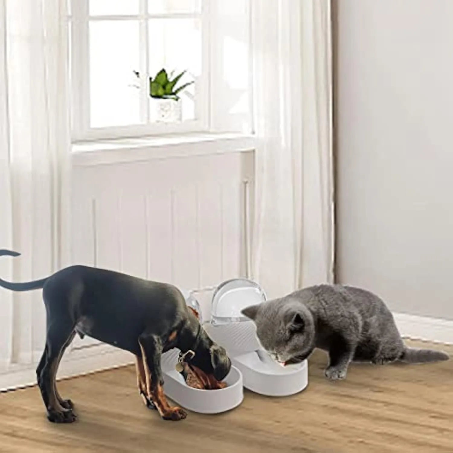White automatic cat feeder and water dispenser set with wave-shaped design on a table.