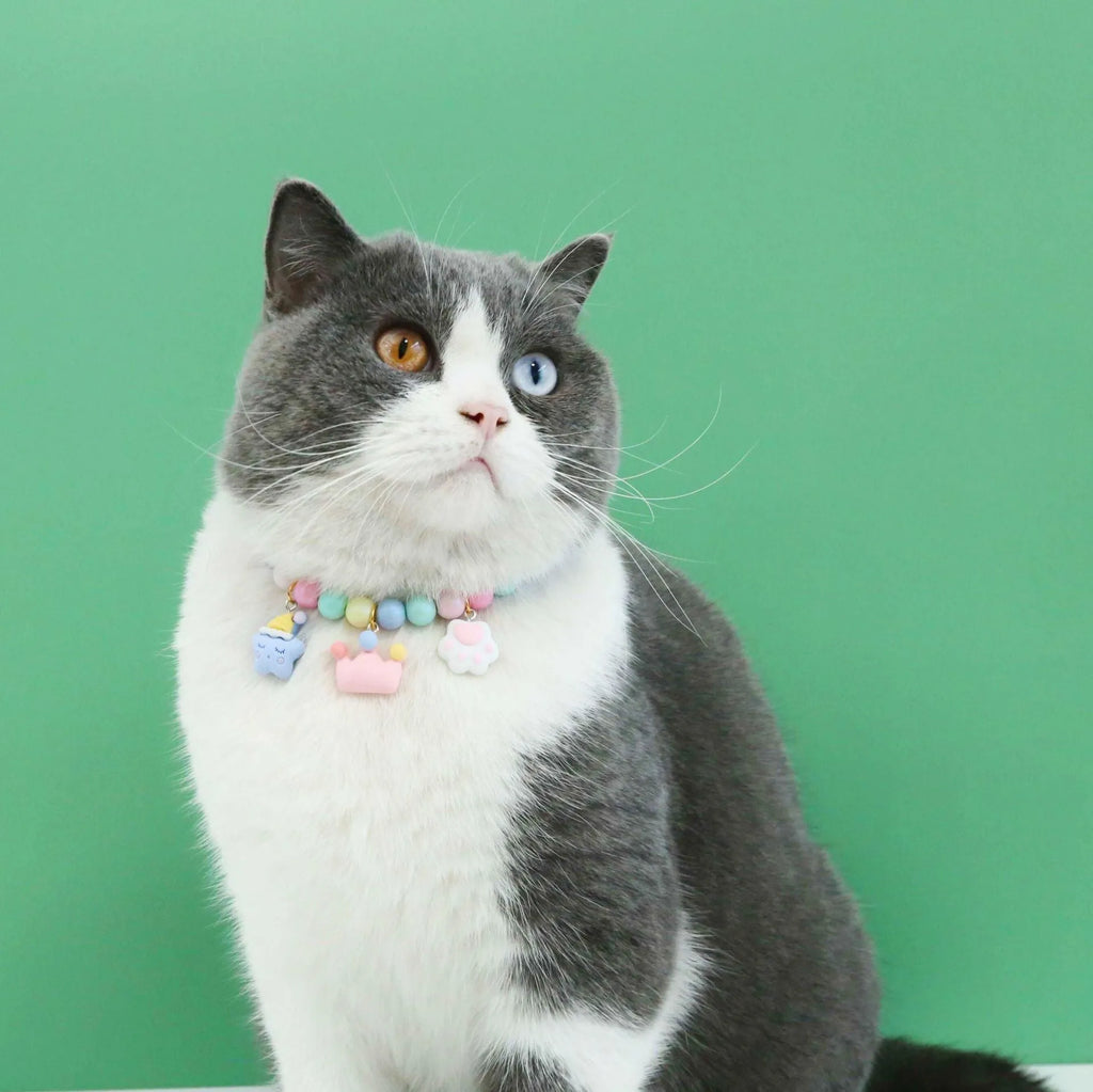 Colourful macaron pearl pet headdress collar and bracelet set for small animals in six colour options.