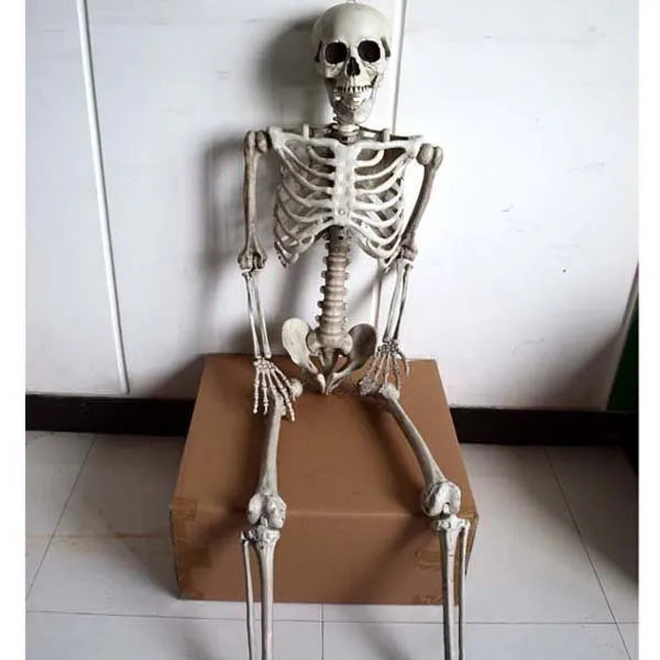 170cm tall plastic skeleton prop with detailed skull design for Halloween and event displays